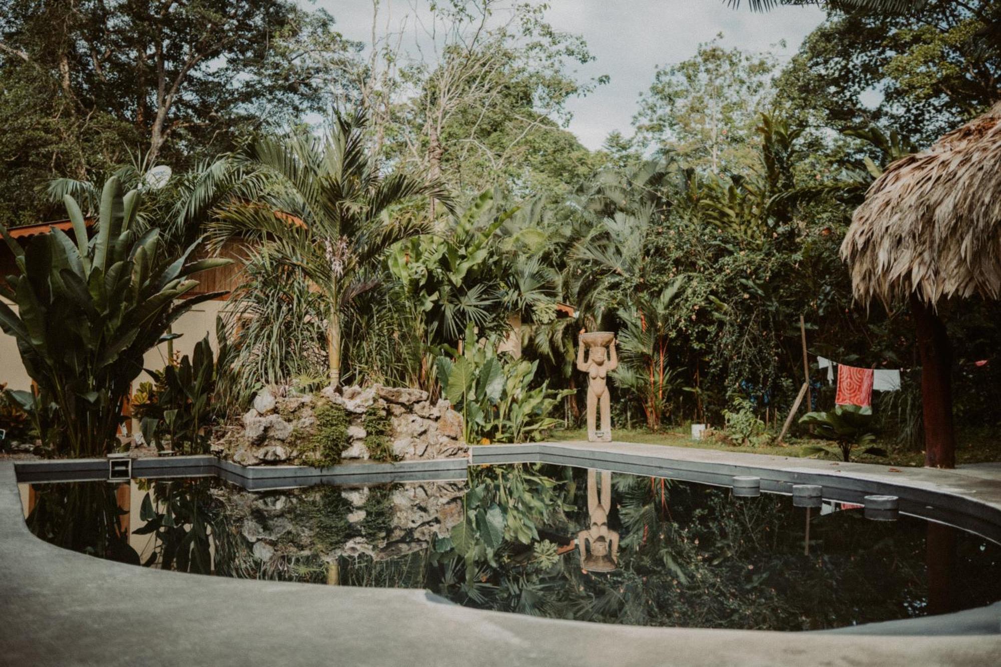 Casa De Los Amigos Caribena Cahuita Εξωτερικό φωτογραφία