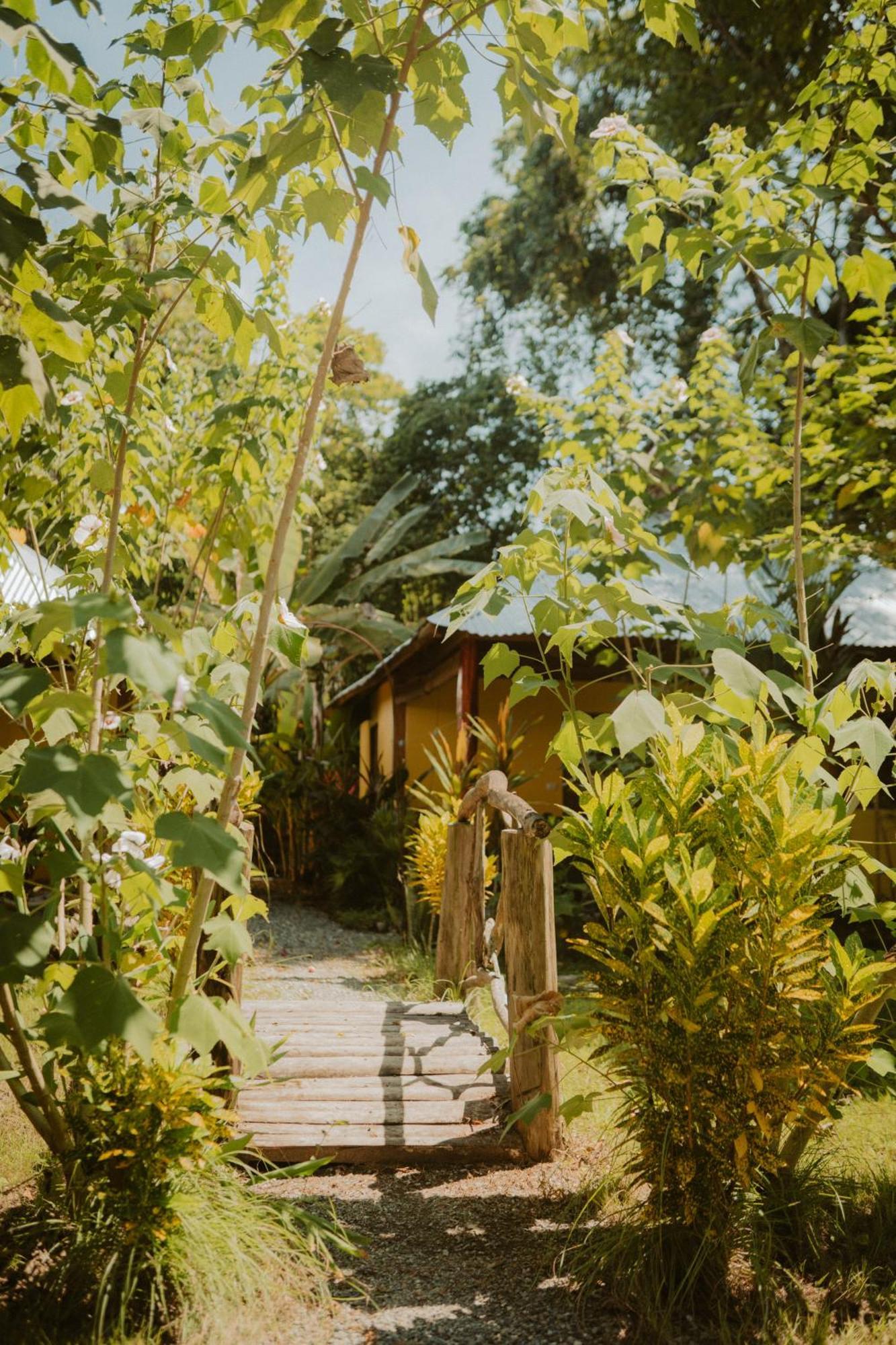 Casa De Los Amigos Caribena Cahuita Εξωτερικό φωτογραφία